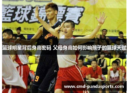 篮球明星背后身高密码 父母身高如何影响孩子的篮球天赋