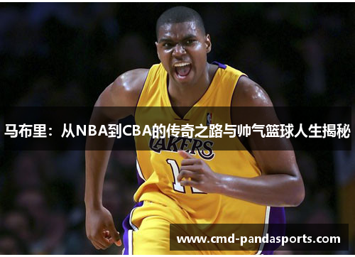 马布里：从NBA到CBA的传奇之路与帅气篮球人生揭秘